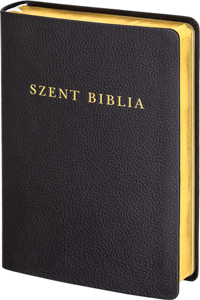 Holy Bible (Károli 2021), big size, leather, gilded